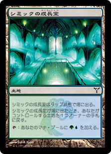 9枚目 見つめ合う Mtg 今日の一枚 Revised